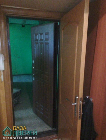 двойная металлическая дверь в квартиру.jpg