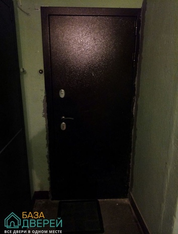 металлическая дверь с порошковым напылением.jpg